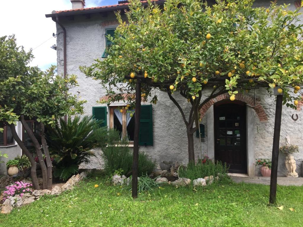 Agriturismo I Lamoi فينالي ليغوري المظهر الخارجي الصورة