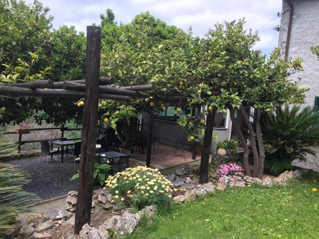 Agriturismo I Lamoi فينالي ليغوري المظهر الخارجي الصورة